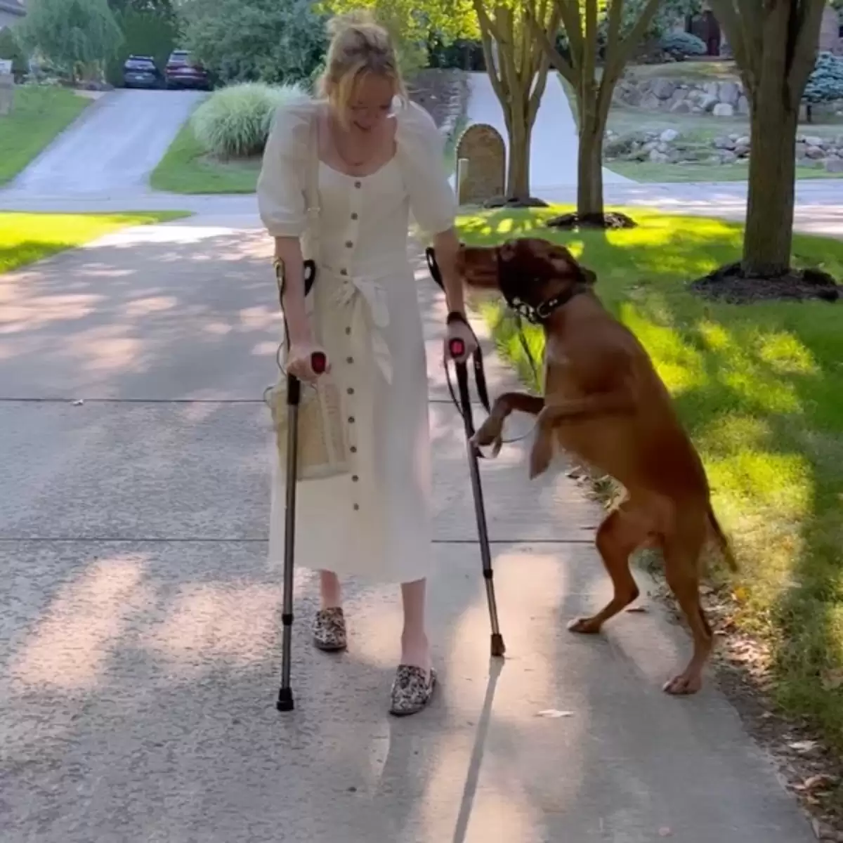 mom-finally-walk-again-1 Service Dog Jumps For Joy When He Sees Mom Finally Walk Again