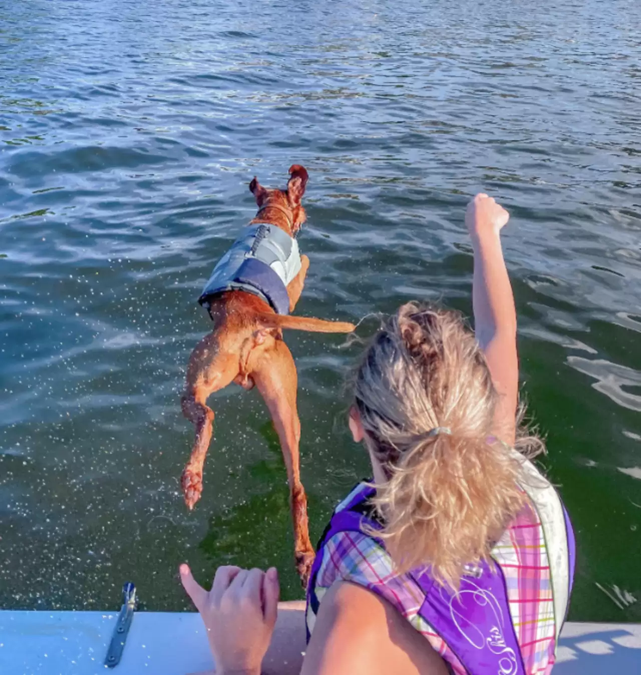 mom-finally-walk-again-2 Service Dog Jumps For Joy When He Sees Mom Finally Walk Again