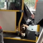 Woman Riding Bus Notices Someone Curled Up Behind The Driver's Seat